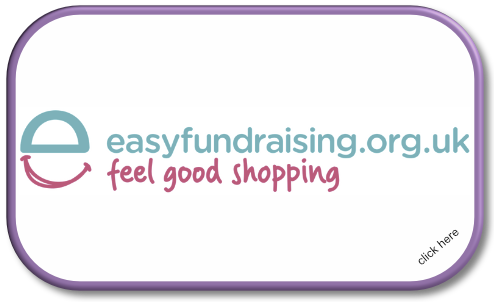 EasyFundRaising